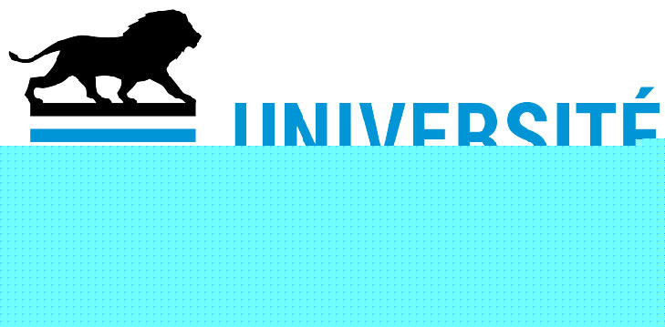 Logo Universit de Lyon